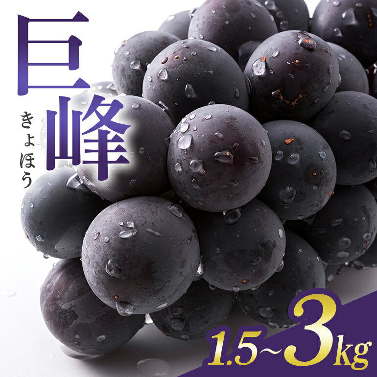【ふるさと納税】【 2025年 先行予約 】 巨峰 1.5kg 2kg 3kg ( 種あり ) 石田ぶどう園 4房 〜 6房 5房 ～ 8房 6房 ～ 12房 国産 ぶどう ブドウ 果物 くだもの 葡萄 フルーツ 1.5キロ 9月 10月 発送 秋 旬 品種 茨城県産 産地直送 産直 農家直送 冷蔵 茨城県 石岡市 送料無料のサムネイル