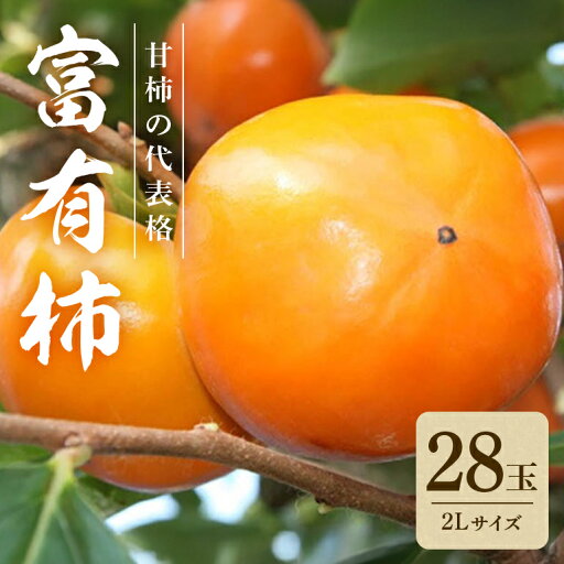 【ふるさと納税】 【2025年 先行予約】 富有柿 2L 二段 28玉 (ミナミ観光果樹園) 柿 甘い柿 かき 富有カキ 甘い 果物 フルーツ くだもの カキ 富有かき 秋 旬 甘柿 糖度 贈答用 贈答品 ギフト 贈り物 品種 産地直送 農家直送 産直 茨城県 石岡市 送料無料 (A09-004) 【ふるさと納税】 【2025年 先行予約】 富有柿 2L 二段 28玉 (ミナミ観光果樹園) 柿 甘い柿 かき 富有カキ 甘い 果物 フルーツ くだもの カキ 富有かき 秋 旬 甘柿 糖度 贈答用 贈答品 ギフト 贈り物 品種 産地直送 農家直送 産直 茨城県 石岡市 送料無料 (A09-004)