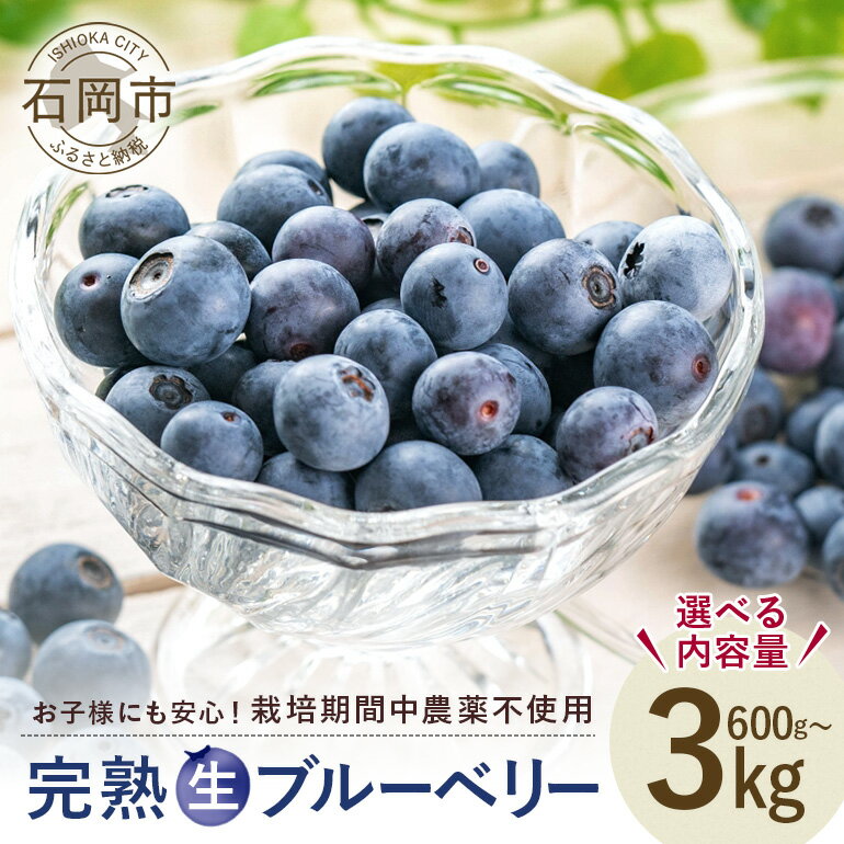 [ 2026年 先行予約 ]元気に育った ブルーベリー 選べる 600g 1.2kg 1.5kg 3kg 農薬 栽培期間中 不使用 果物 フルーツ 新鮮 手摘み 国産 産地直送 農家直送 産直 個包装 小分け くだもの スムージー ジャム ヨーグルト デザート 茨城 茨城県 石岡市