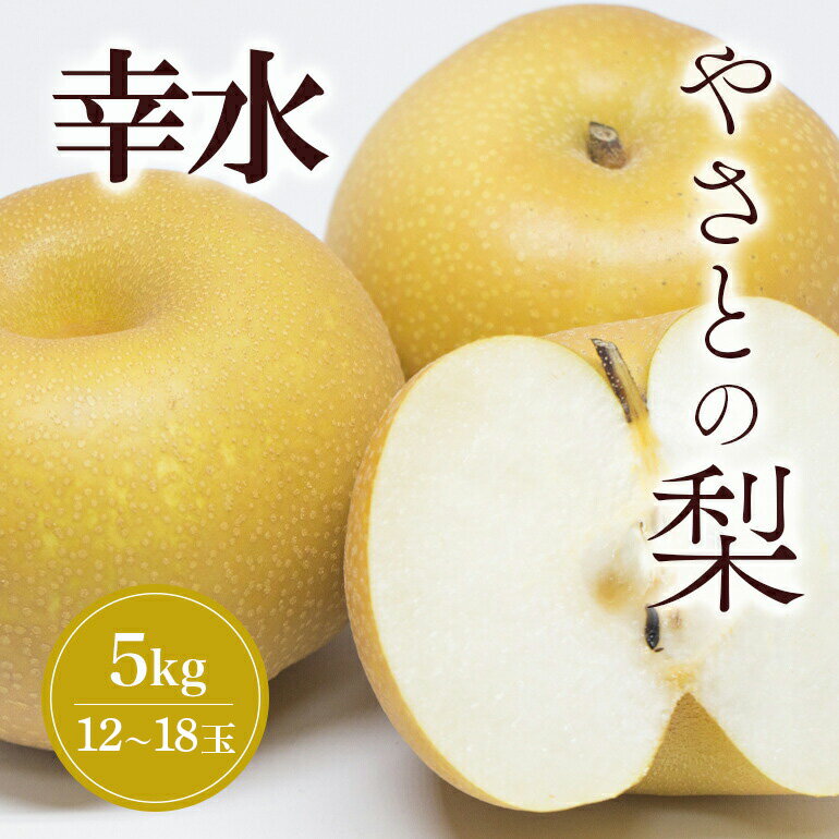 【ふるさと納税】【 2026年 先行予約 】 筑波山麓やさとの梨 ( 幸水 ) 5kg ( 12玉 ~ 18玉 ) 梨 なし ナシ 果物 フルーツ 品種 幸水梨 2L L サイズ 5キロ 産地直送 農家直送 産直 国産 くだもの 甘い 酸味 ギフト 贈答用 家庭用 茨城県産 茨城県 石岡市 (A25-001)
