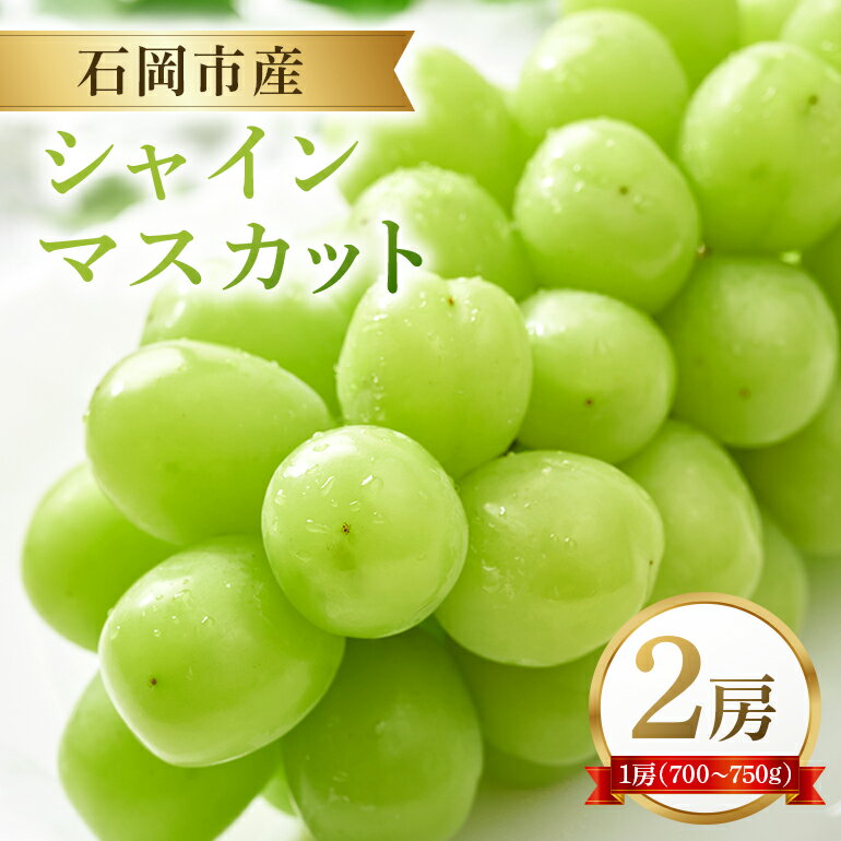 【ふるさと納税】【2026年先行予約】石岡市産 シャインマスカット 700～750g 2房 果物 フルーツ くだもの 茨城県 石岡市 A38-003