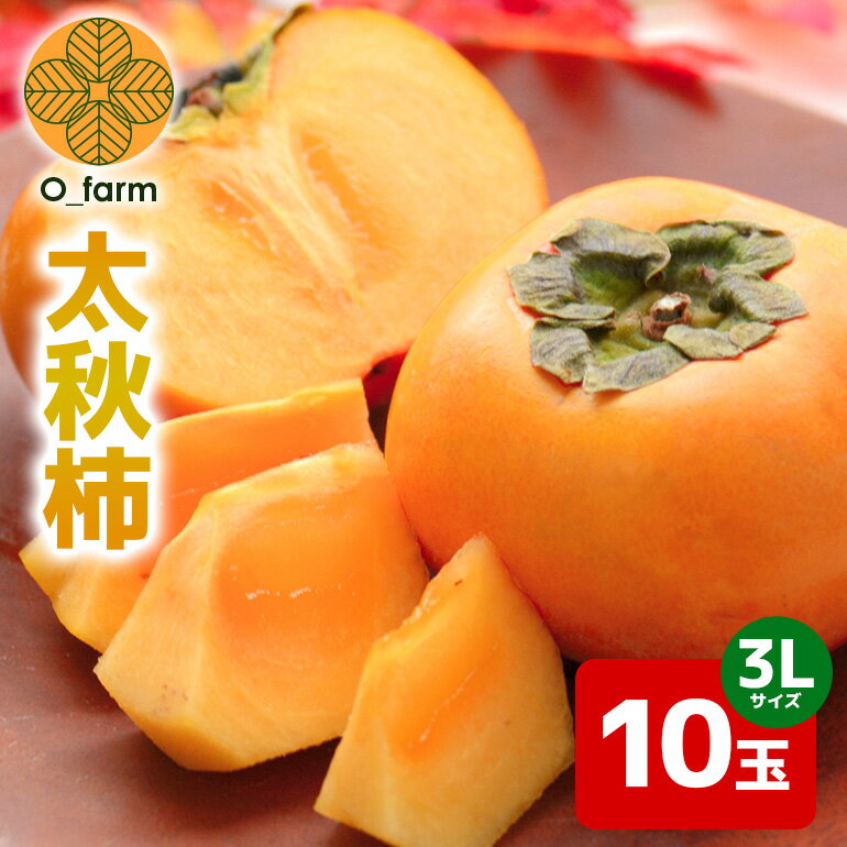 [2026年先行予約]太秋柿 3L 10玉(1段) 柿 カキ かき フルーツ 果物 くだもの 産地直送 茨城県 石岡市