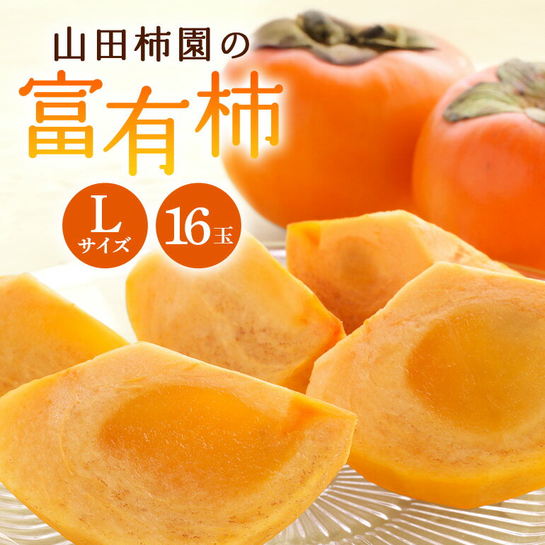 [2026年先行予約]富有柿 L16玉 2段箱(32玉) 柿 カキ かき フルーツ 果物 くだもの 産地直送 茨城県 石岡市