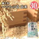 【ふるさと納税】【令和7年産】獅子米 いのちの壱 玄米 30kg 岡田ファーム コンテスト受賞米 お米 米 おこめ ブランド米 30キロ 国産 コメ こめ ご飯 茨城県産 茨城 産直 産地直送 農家直送 ごはん 家庭用 贈答用 お取り寄せ 送料無料 (B02-020)