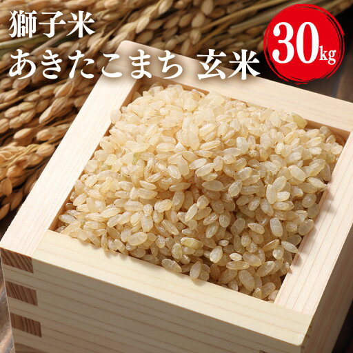 【ふるさと納税】 【令和7年産】獅子米 あきたこまち 玄米30kg お米 米 玄米 おこめ ブランド米 30キロ 国産 コメ こめ ご飯 銘柄米 茨城県産 茨城 産直 産地直送 農家直送 ごはん 家庭用 贈答用 お取り寄せ 茨城県 石岡市 B02-057 【ふるさと納税】 【令和7年産】獅子米 あきたこまち 玄米30kg お米 米 玄米 おこめ ブランド米 30キロ 国産 コメ こめ ご飯 銘柄米 茨城県産 茨城 産直 産地直送 農家直送 ごはん 家庭用 贈答用 お取り寄せ 茨城県 石岡市 B02-057