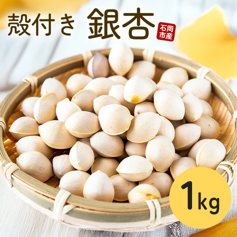 石岡市産 殻付き銀杏 500g×2袋 ぎんなん 銀杏 国産 茨城県 石岡市