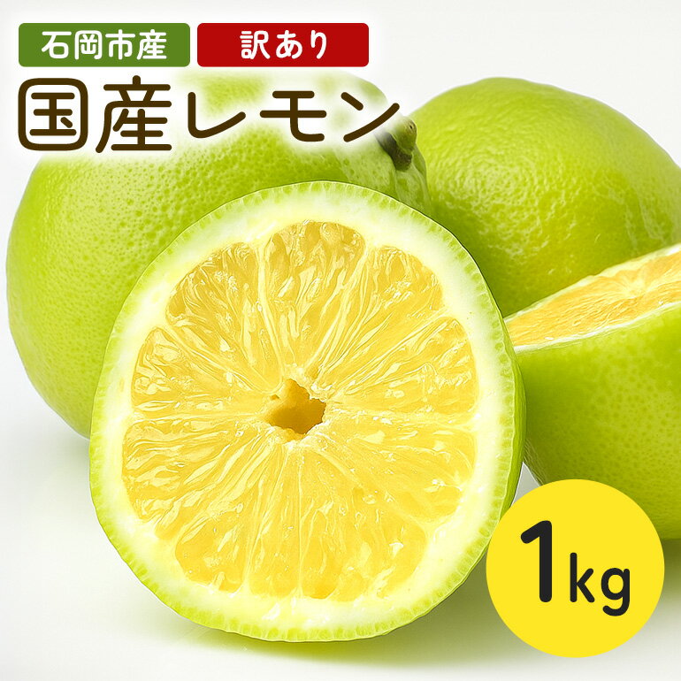 【ふるさと納税】 筑波山麓で育ったフレッシュレモン 1kg(訳あり) 1kg 訳アリ 不揃い 訳あり 茨城県 石岡市 B03-008