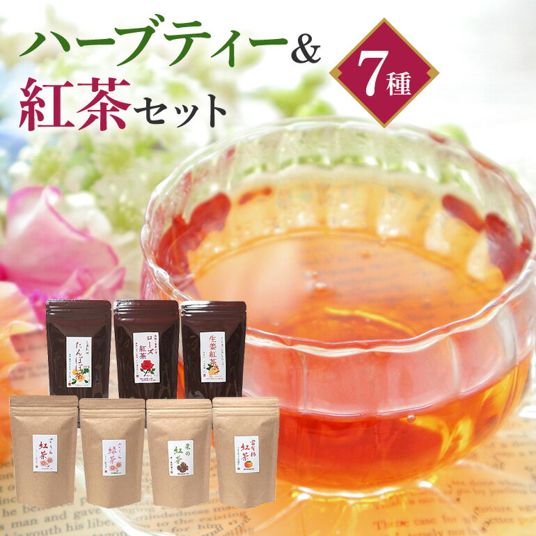 【ふるさと納税】紅茶 &ハーブティー セット 生姜紅茶 ローズ紅茶 たんぽぽ茶 栗 紅茶 柿 紅茶 さくら 紅茶 さくら 緑茶 リラックス 健康茶 癒し ホットティー お茶 ハーブ フルーツティー 茨城県 石岡市 (E15-009)