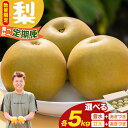 【ふるさと納税】【食べ比べ定期便】梨 各5kg 選べる組み合わせ 豊水 甘太 あきづき 石川梨・ぶどう園《9月上旬-10月上旬頃出荷》茨城県 結城市 梨 ナシ なし 果物 フルーツ 豊水 ほうすい あきづき 甘太 かんた【配送不可地域あり】(離島)