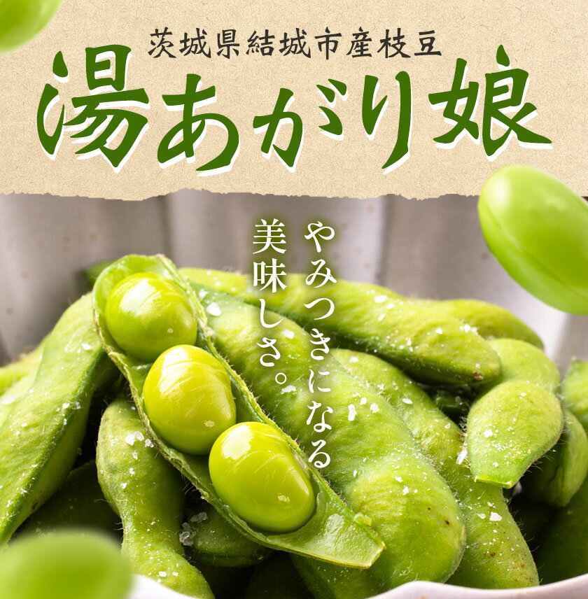 【ふるさと納税】枝豆 先行予約 えだまめ 「湯あがり娘」選べる 1kg 2.4kg（300g×8パック） 3kg 4.5kg （茶豆味）有限会社大嶋農園 《2026年7月中旬-8月上旬頃出荷》 えだまめ 野菜 国産 甘み 香り 濃厚 つまみ ビールのおつまみ ビールのつまみ 【配送不可地域あり】