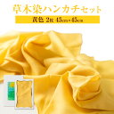 【ふるさと納税】草木染 ハンカチ 2枚 セット 黄×2 結城市社会福祉協議会 障害者福祉センター 《30日以内に出荷予定(土日祝除く)》ファッション 小物 天然...