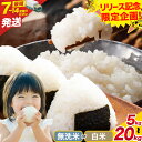 【ふるさと納税】 米 無洗米 茨城 ふるさと米 定期便あり 選べる 白米 無洗米 5kg 10kg 15kg 20kg 《7-14営業日以内に出荷(土日祝除く)》《定期は翌月より出荷開始》茨城県 結城市 米 白米 精米 国産 お米 おこめ お弁当 おにぎり【茨城県共通返礼品】