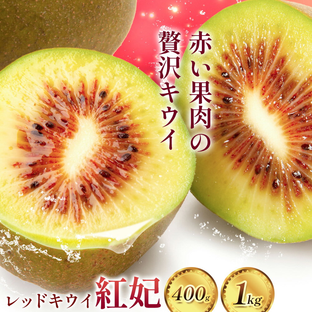 キウイ レッドキウイ 紅妃 400g 5個 〜 6個 1kg 10個 〜 15個 株式会社ヤマナカ[11月上旬-12月上旬頃出荷]茨城県 結城市 キウイフルーツ フルーツ 旬 果物 冷蔵便 送料無料