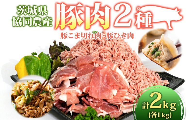 【ふるさと納税】茨城県産 豚 小間切 ひき肉 計2kg 各5パック×200g お肉 豚肉 小間切 ひき肉 う〜んまいから！くっちみ〜　【お肉・豚肉・小間切・ひき肉】