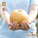 16位! 口コミ数「0件」評価「0」【2024年先行予約】栗原果樹園 梨（恵水・けいすい）約5kg 数量限定 ※9月上旬以降発送 梨 ナシ 果物 フルーツ デザート お届け：2･･･ 