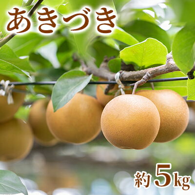 名称梨(あきづき)内容量茨城県結城市産梨　品種：あきづき 内容量：1箱（約5kg）※20箱限定産地茨城県結城市事業者栗原果樹園配送方法常温配送お届け時期2024年9月中旬～下旬備考※画像はイメージです。 ※離島への配送はできません。 ※上記のエリアからの申し込みは返礼品の手配が出来ないため、「キャンセル」または「寄附のみ」とさせていただきます。予めご了承ください。 ※大きさ・形は不揃いになります。 ※農作物のため育成具合によっては発送予定から前後する場合がございます。 ※生鮮物ですので期限は目安となります。状態をよくご確認の上、お早めにお召し上がりください。 ・ふるさと納税よくある質問はこちら ・寄附申込みのキャンセル、返礼品の変更・返品はできません。あらかじめご了承ください。【ふるさと納税】【2024年先行予約】栗原果樹園 梨（あきづき）約5kg 数量限定 ※9月中旬以降発送 梨 ナシ 果物 フルーツ デザート お届け：2024年9月中旬～下旬 結城市　【梨・ナシ・果物・フルーツ】　お届け：2024年9月中旬～下旬 【配送不可：離島】 あきづきは「新高×豊水」に「幸水」をかけ合わせた品種で、3つの梨の優れたところを併せ持っています。果肉は緻密で甘みが強く、果汁も豊富。酸味は少なめで「幸水」に近い味わいです。 この機会にぜひ、お召し上がりください。 秋月　果物　くだもの　フルーツ　産地直送　令和6年産　茨城県産 寄附金の用途について 1みんなで支えあい安心して暮らせる社会福祉の充実（保健・福祉） 2安全で住みやすさを実感できるまちづくり（都市・環境） 3歴史と自然を育む活力あるまちづくり（産業・観光） 4未来を担う子どもと生き生きした市民を育むまちづくり（教育・文化） 5協働で進める持続可能な自治・行政運営の実現（協働・行政） 6市長が提案する事業 受領証明書及びワンストップ特例申請書のお届けについて 入金確認後、注文内容確認画面の【注文者情報】に記載の住所にお送りいたします。発送の時期は、入金確認後1～2週間程度を目途に、お礼の特産品とは別にお送りいたします。 ■　ワンストップ特例について ワンストップ特例をご利用される場合、1月10日までに申請書が当庁まで届くように発送ください。 マイナンバーに関する添付書類に漏れのないようご注意ください。 ▽申請書のダウンロードはこちら