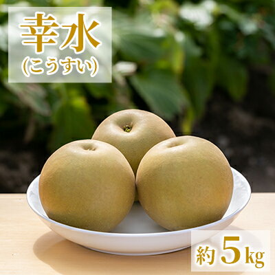 名称梨（幸水）内容量茨城県結城市産梨（幸水）1箱　約5kg　※20箱限定産地茨城県結城市事業者石川 梨・ぶどう園配送方法常温配送お届け時期2024年8月上旬～8月中旬備考※画像はイメージです。 ※離島への配送は出来ない商品となります。 ※上記のエリアからの申し込みは返礼品の手配が出来ないため、「キャンセル」または「寄附のみ」とさせていただきます。予めご了承ください。 ※大きさ・形は不揃いになります。 ※農作物のため育成具合によっては発送予定から前後する場合がございます。 ※生鮮物ですので期限は目安となります。状態をよくご確認の上、お早めにお召し上がりください。 ・ふるさと納税よくある質問はこちら ・寄附申込みのキャンセル、返礼品の変更・返品はできません。あらかじめご了承ください。【ふるさと納税】【2024年先行予約】石川梨・ぶどう園 梨（幸水）約5kg 数量限定 ※8月上旬以降発送　【 梨 ナシ 果物 フルーツ 幸水 こうすい 甘い 果汁 シャリっ 限定 】　お届け：2024年8月上旬～8月中旬 【配送不可：離島】 幸水（こうすい）は甘みが強く、酸味が少なく、果汁が多いのが特徴です。 シャリっとした食感をお楽しみ下さい。 果物　くだもの　フルーツ　産地直送　令和6年産　茨城県産 寄附金の用途について 1みんなで支えあい安心して暮らせる社会福祉の充実（保健・福祉） 2安全で住みやすさを実感できるまちづくり（都市・環境） 3歴史と自然を育む活力あるまちづくり（産業・観光） 4未来を担う子どもと生き生きした市民を育むまちづくり（教育・文化） 5協働で進める持続可能な自治・行政運営の実現（協働・行政） 6市長が提案する事業 受領証明書及びワンストップ特例申請書のお届けについて 入金確認後、注文内容確認画面の【注文者情報】に記載の住所にお送りいたします。発送の時期は、入金確認後1～2週間程度を目途に、お礼の特産品とは別にお送りいたします。 ■　ワンストップ特例について ワンストップ特例をご利用される場合、1月10日までに申請書が当庁まで届くように発送ください。 マイナンバーに関する添付書類に漏れのないようご注意ください。 ▽申請書のダウンロードはこちら