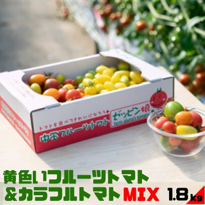 黄色いフルーツトマト「ティポ」&カラフルトマトMIX 計1.8kg(1箱) ジャム さっぱり 黄色いトマト カラフル 詰め合わせ 食べくらべ 個性豊か [ 茨城県 日持ち サラダ ゼッピン娘 華おとめ 小桃 ] お届け:2023年10月中旬〜2024年5月下旬