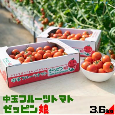 【ふるさと納税】中玉フルーツトマト「ゼッピン娘」1.8kg×2箱（計3.6kg） 希少な品種 華おとめ 甘い　【 野菜 茨城県産 結城市産 ゼッピン娘 華おとめ 中玉品種 皮が薄い 薄皮 子供 お年寄り サラダ 前菜 食材 料理 】　お届け：2023年10月中旬～2024年5月下旬