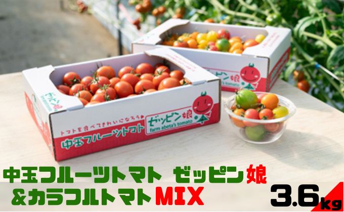 【ふるさと納税】中玉フルーツトマト「ゼッピン娘」＆カラフルトマトMIX 1.8kg×各1箱（計3.6kg） 希少な品種 華おとめ 甘い カラフル 詰め合わせ 食べくらべ 個性豊か　【 中玉 ゼッピン娘 小桃 サラダ 茨城県産 】　お届け：2023年10月中旬～2024年5月下旬