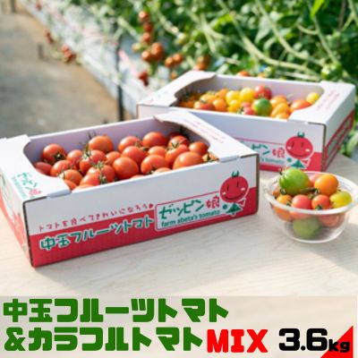 【ふるさと納税】中玉フルーツトマト「ゼッピン娘」＆カラフルトマトMIX 1.8kg×各1箱（計3.6kg） 希少...