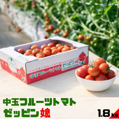 【ふるさと納税】中玉フルーツトマト「ゼッピン娘」1.8kg（1箱） 希少な品種 華おとめ 甘い　【 野菜 茨城県産 結城市産 ゼッピン娘 華おとめ 中玉品種 皮が薄い 薄皮 子供 お年寄り サラダ 前菜 食材 料理 】　お届け：2023年10月中旬～2024年5月下旬