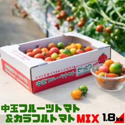 中玉フルーツトマト「ゼッピン娘」900g＋カラフルトマトMIX 900g　計1.8kg（1箱） 希少な品種 華おとめ 甘い カラフル 詰め合わせ 食べくらべ 個性豊か　【 中玉品種 薄皮 小桃 サラダ 前菜 茨城県産 】　お届け：2023年10月中旬～2024年5月下旬