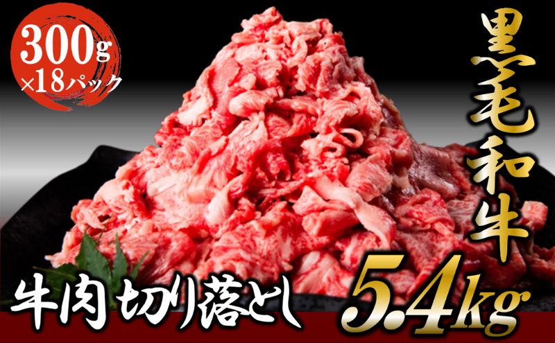 【ふるさと納税】黒毛和牛 牛肉 切り落とし 5.4kg （300g×18パック） 【2024年1月中旬より順次発送】 肉 小分け ロース バラ ウデ モモ 薄切り 国産 お肉 和牛 牛 精肉 食品　【 食材 グルメ 国産黒毛和牛 牛丼 肉じゃが すき焼き カレー 】