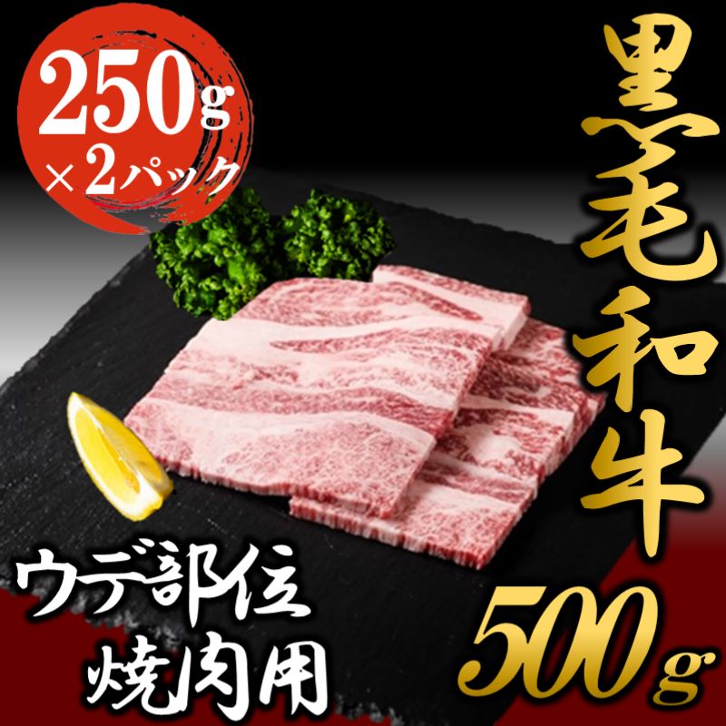 黒毛和牛 焼肉用 500g (250g×2パック) 国産 お肉 和牛 牛 精肉 食品 [ 牛肉 バーベキュー 食材 グルメ 肉料理 牛スライス おうち焼肉 赤身部位 ミスジ ]