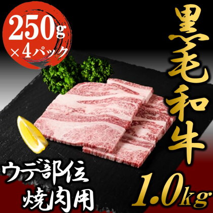 黒毛和牛 焼肉用 1kg （250g×4パック） 国産 お肉 和牛 牛 精肉 食品　【 牛肉 バーベキュー 食材 グルメ 肉料理 牛スライス おうち焼肉 赤身部位 ミスジ 】