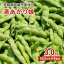 【ふるさと納税】【先行予約】茨城県結城市産枝豆「湯あがり娘」3kg（茶豆味）　【 野菜 国産 甘み 香り 濃厚 つまみ ビールのおつまみ ビールのつまみ 】　お届け：2024年7月中旬～8月4日