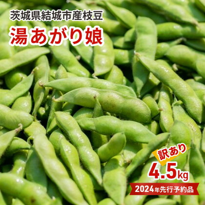 【先行予約・訳あり】茨城県結城市産枝豆「湯あがり娘」4.5kg（茶豆味）　【 野菜 国産 甘み 香り 濃厚 つまみ ビールのおつまみ ビールのつまみ 】　お届け：2024年7月中旬～8月4日