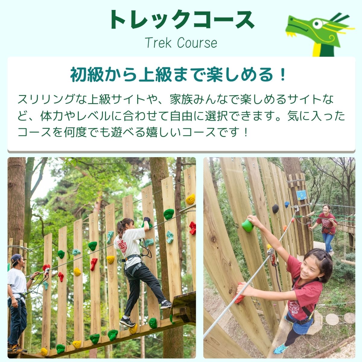 【ふるさと納税】〜五感で楽しむ自然体験〜フォレストアドベンチャー・龍ケ崎 トレックコース90分 1人分利用チケット | フォレストアドベンチャー 子ども アスレチック キャンプ場 遊び場 大人のアスレチック 自然共生型 アウトドアパーク アウトドア キャンプ バーベキュー f082082-ryugasaki-10001288 茨城県龍ケ崎市 サンプル画像3