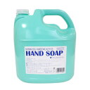 【ふるさと納税】ミマス薬用ハンドソープ 大容量 詰め替え用 5kg×3(医薬部外品) | 茨城県 龍ヶ崎市 石鹸 液体石鹸 ハンドソープ 薬用ハンドソープ 詰め替え 香り フローラル 薬用 殺菌 殺菌成分 保湿成分 予防 自然由来 植物由来 ナチュラル 日用品 除菌 保湿 衛生 1236926(4)