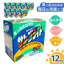 【ふるさと納税】洗濯 粉末 洗剤 サンブライト 12kg (1.2kg×10個) | 洗濯洗剤 粉末洗剤 粉末洗濯洗剤 洗濯用 粉末タイプ 衣類洗い 衣類洗剤 ...