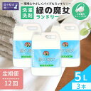 【ふるさと納税】<毎月定期便>環境配慮型洗剤緑の魔女ランドリー5L×3セットを全12回発送 | 茨城県 龍ケ崎市 洗剤 パイプクリーナー 詰まり 臭い 排水溝 ...