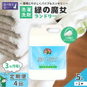 【ふるさと納税】<3ヵ月毎定期便(全4回)>環境配慮型洗剤緑の魔女ランドリー5L×1本 | 茨城県 龍ケ崎市 洗剤 液体 液体洗剤 環境配慮 エコ 洗濯洗剤 衣...