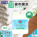 【ふるさと納税】<毎月定期便(全12回)>環境配慮型洗剤緑の魔女ランドリー5L×1本 | 茨城県 龍ケ崎市 洗剤 液体 液体洗剤 環境配慮 エコ 洗濯洗剤 衣類...