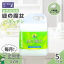 【ふるさと納税】<毎月定期便(全12回)>環境配慮型洗剤緑の魔女キッチン5L×1本 | 茨城県 龍ケ崎市 洗剤 環境 エコ やさしい 手肌 優しい 弱酸性 パイ...
