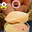 【ふるさと納税】紅孔雀プリン 10個セット | 茨城県 龍ケ崎市 プリン ぷりん ギフト プレゼント スイーツ 内祝い 取り寄せ お取り寄せグルメ お歳暮 紅孔...