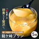【ふるさと納税】龍ケ崎産の落花生を使用した龍ケ崎プリン5個セット | プリン ぷりん 食べ比べ 味比べ ギフト 贈答用 プリン専門店 スイーツ お取り寄せ 内祝...