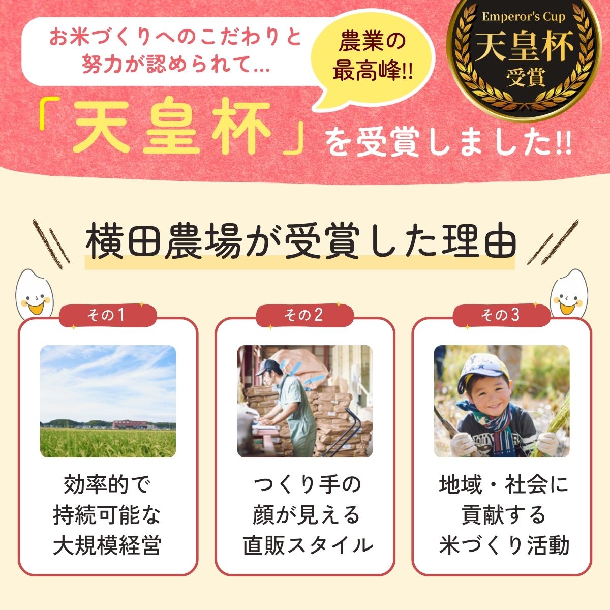 【ふるさと納税】[令和7年産]横田農場の有機栽培コシヒカリ 5kg | こしひかり お米...
