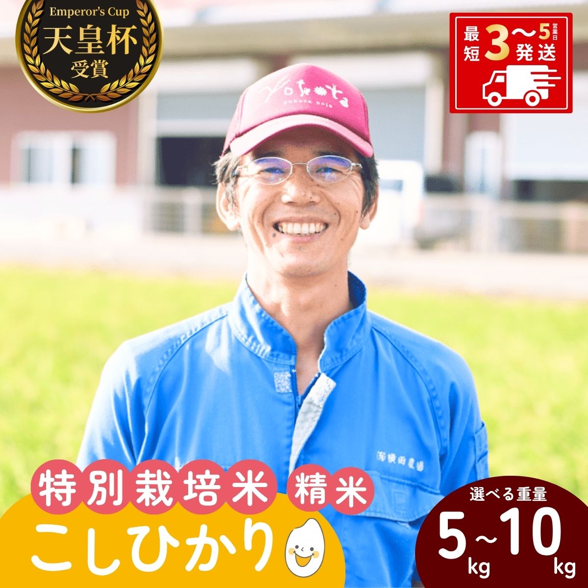 【ふるさと納税】[令和8年産]横田農場の特別栽培米コシヒカリ 選べる重量 5～10kg | こしひかり お米 米 こめ 白米 精米 特別栽培米 冷めてもおいしい 美味しい こだわり おにぎり 天皇杯 受賞 ブランド米 茨城県 龍ケ崎市産