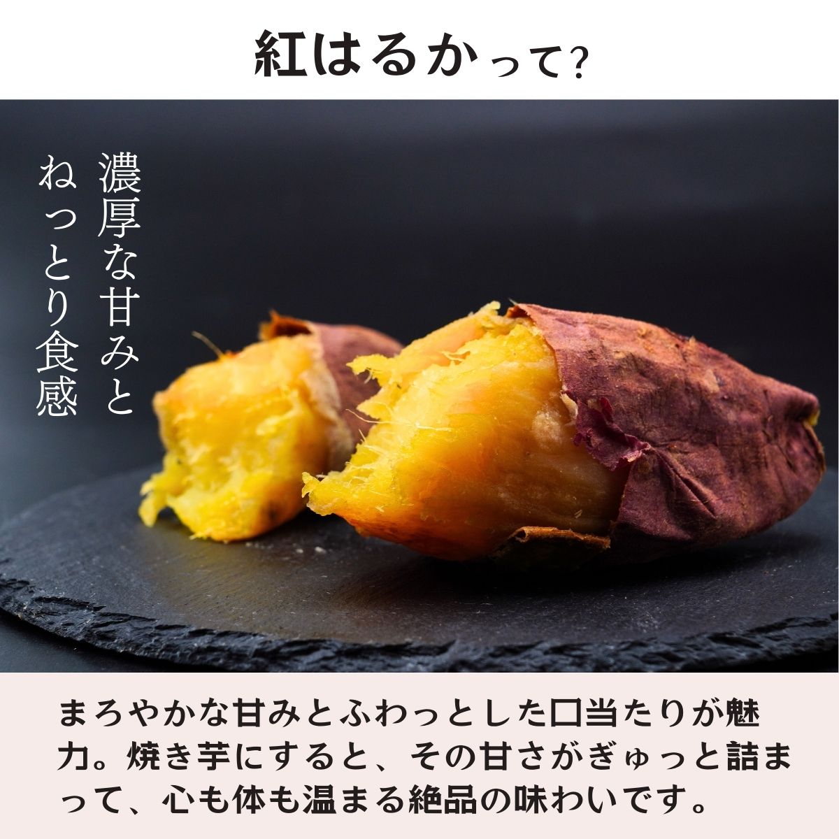 たけのこ水煮 水煮 業務用 大容量 レストラン 和食 ホテル