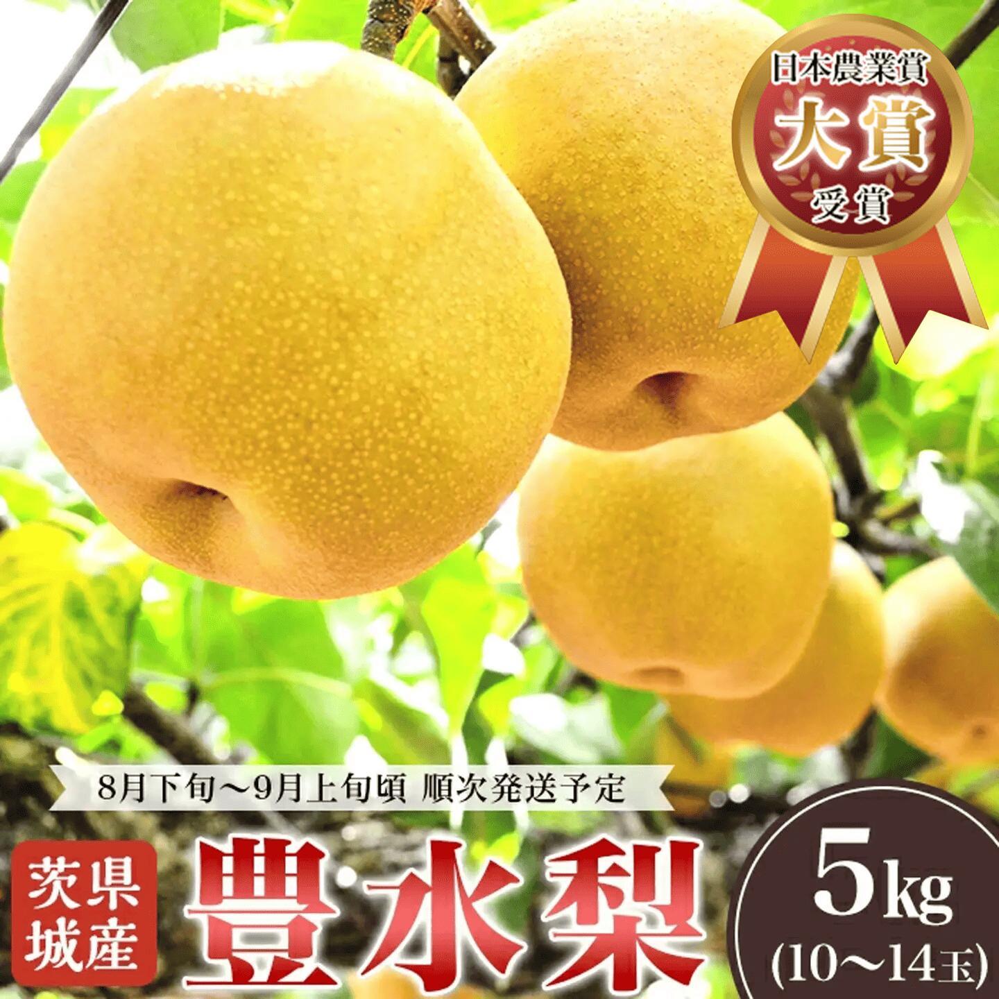 【ふるさと納税】豊水梨 約5kg 2026年先行予約 梨 なし 豊水 ナシ 果物 フルーツ なし 甘味 茨城県産 くだもの 2026年先行予約 茨城県産「豊水梨」約5kg【2026年8月下旬～9月上旬にかけて発送予定】