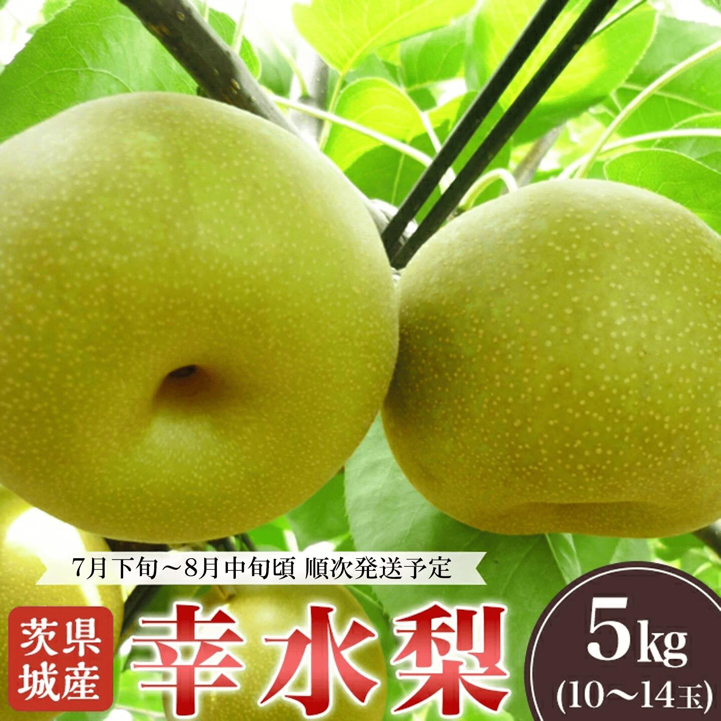 【ふるさと納税】幸水梨 約5kg 2026年 先行予約 こうすい 果物 くだもの フルーツ 国産 季節限定 人気 贈り物 お取り寄せ デザート 2026年先行予約 茨城県産「幸水梨」約5kg【2026年7月下旬～8月中旬にかけて発送予定】