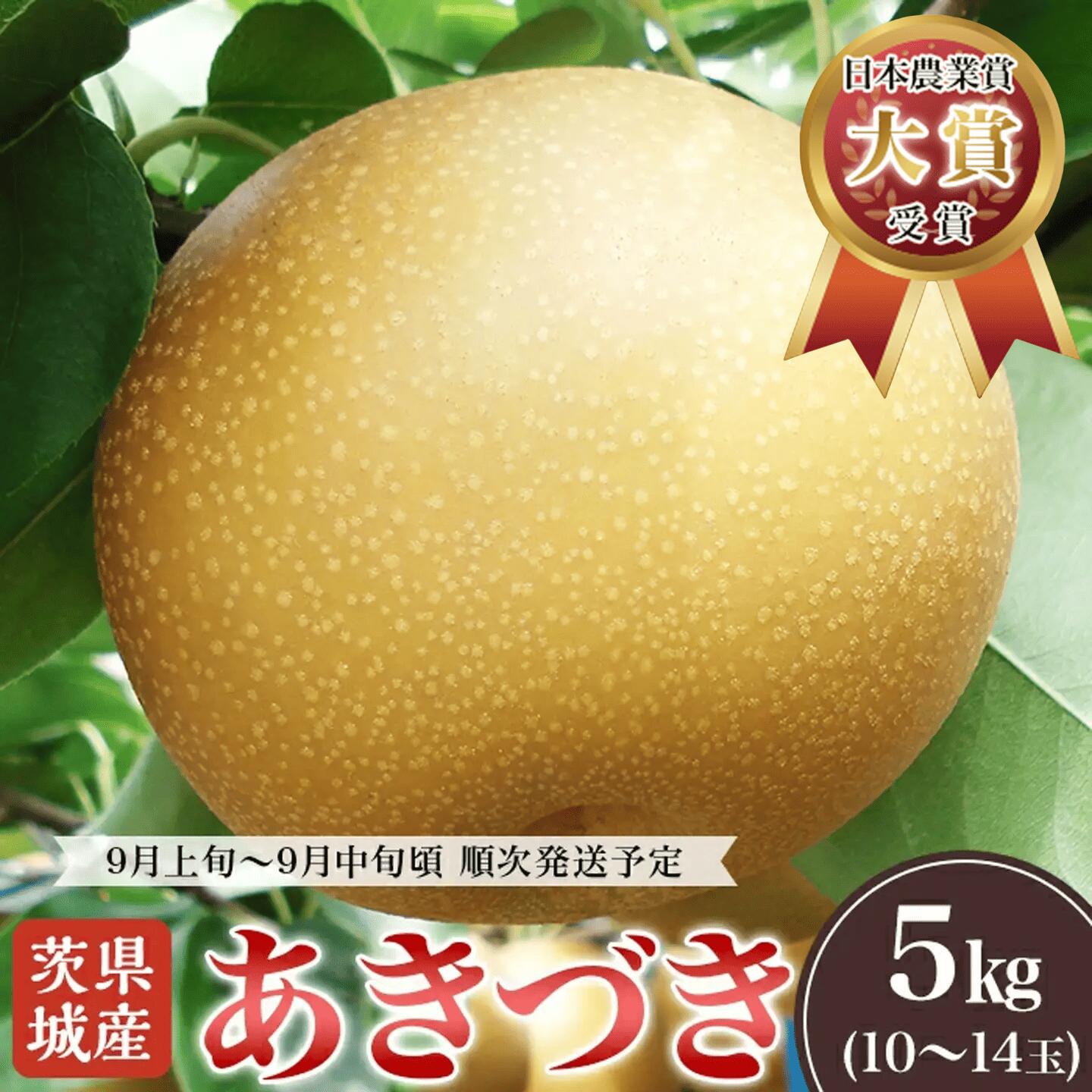 あきづき梨 約5kg 2026年先行予約 梨 果物 くだもの フルーツ 国産 季節限定 人気 贈り物 お取り寄せ デザート 2026年先行予約 茨城県産「あきづき」約5kg[2026年9月上旬〜9月中旬にかけて発送予定]