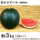 【ふるさと納税】茨城県産黒小玉すいか約3kg(2個)先行予約【2025年7月上旬〜7月下旬ごろ発送予定】小玉すいか スイカ フルーツ 果物 くだもの 西瓜
