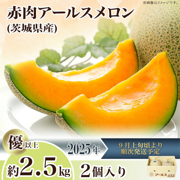 【ふるさと納税】2025先行予約 果物 メロン アールスメロン（マスクメロン） 茨城県 茨城県産 旬 フルーツ くだもの マスクメロン 茨城県産アールスメロン「赤」約2.5kg（2個）【2025年9月上旬～10月上旬ごろ発送予定】のサムネイル