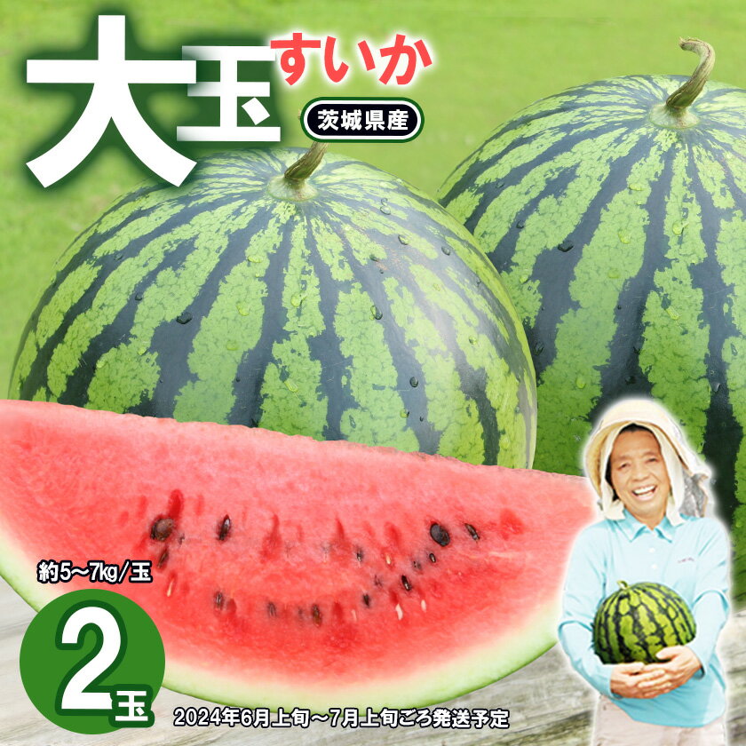 12-24茨城県産大玉すいか2玉セット(約5〜7kg/玉) おすすめ 人気 グルメ[2024年6月上旬〜7月上旬ごろ発送予定]